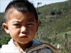 Hunted Like Animals - The Hmong Genocide In Laos